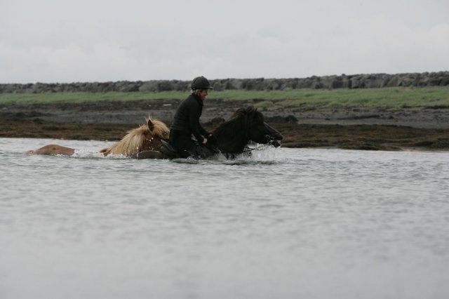 Baðtúr 2008