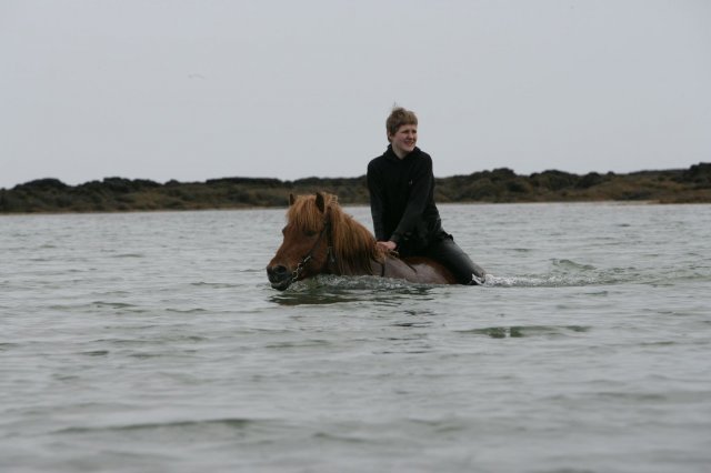 Baðtúr 2008