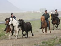 Baðtúr 2008