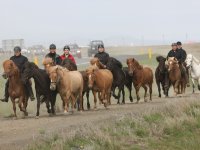 Baðtúr 2008