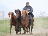 Baðtúr 2008