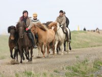 Baðtúr 2008