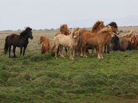 Baðtúr 2008