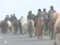 Baðtúr 2008