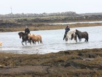 Baðtúr 2008