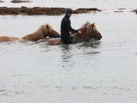 Baðtúr 2008