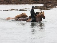 Baðtúr 2008