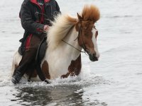 Baðtúr 2008