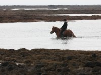 Baðtúr 2008