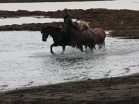 Baðtúr 2008