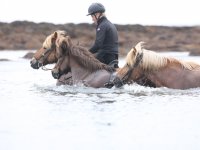 Baðtúr 2008