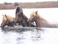 Baðtúr 2008