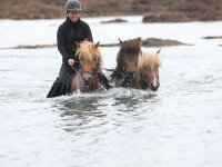 Baðtúr 2008