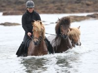 Baðtúr 2008