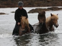 Baðtúr 2008