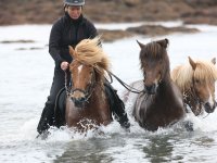 Baðtúr 2008