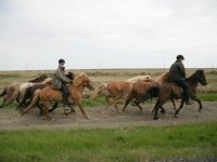 Baðtúr 2008