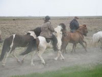 Baðtúr 2008