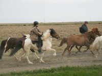 Baðtúr 2008