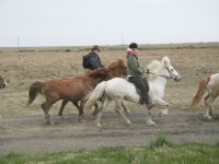 Baðtúr 2008