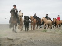 Baðtúr 2008