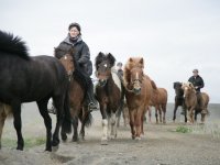 Baðtúr 2008