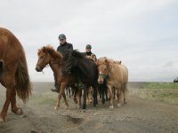 Baðtúr 2008