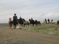 Baðtúr 2008