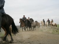 Baðtúr 2008