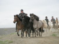 Baðtúr 2008