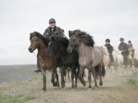 Baðtúr 2008