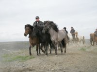 Baðtúr 2008