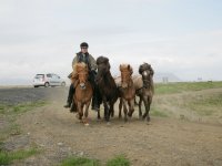 Baðtúr 2008