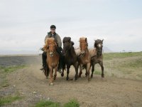 Baðtúr 2008