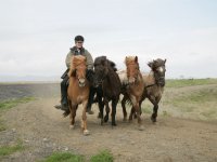 Baðtúr 2008