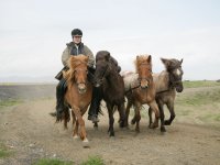 Baðtúr 2008