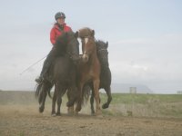 Baðtúr 2008