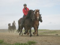 Baðtúr 2008