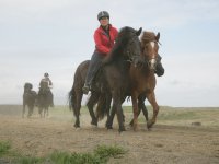 Baðtúr 2008