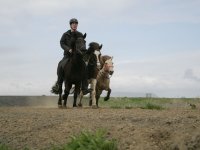 Baðtúr 2008