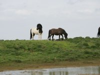 Baðtúr 2008