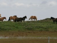 Baðtúr 2008