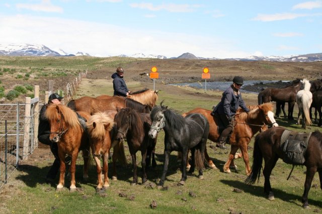 Sumarferð Sleipnis 2015