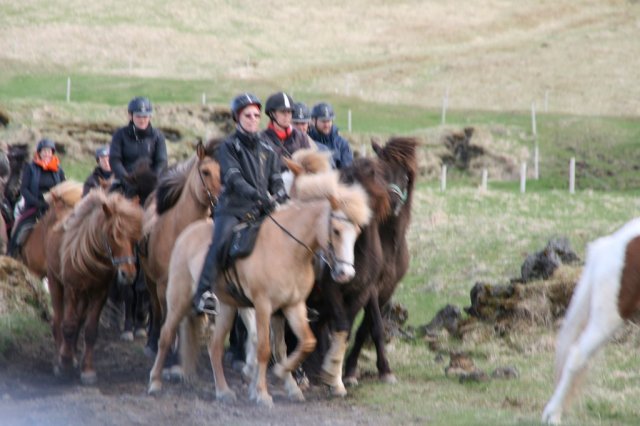 Sumarferð Sleipnis 2015