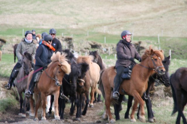 Sumarferð Sleipnis 2015