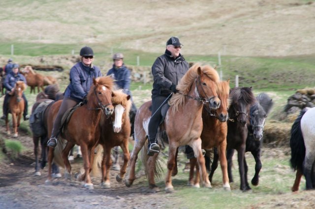 Sumarferð Sleipnis 2015