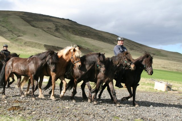 Sumarferð Sleipnis 2015