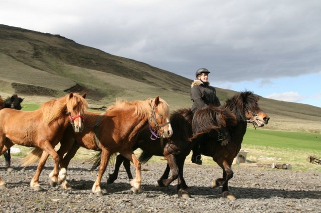 Sumarferð Sleipnis 2015