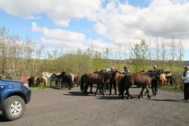 Sumarferð Sleipnis 2015