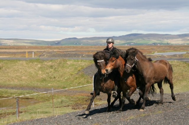 Sumarferð Sleipnis 2015